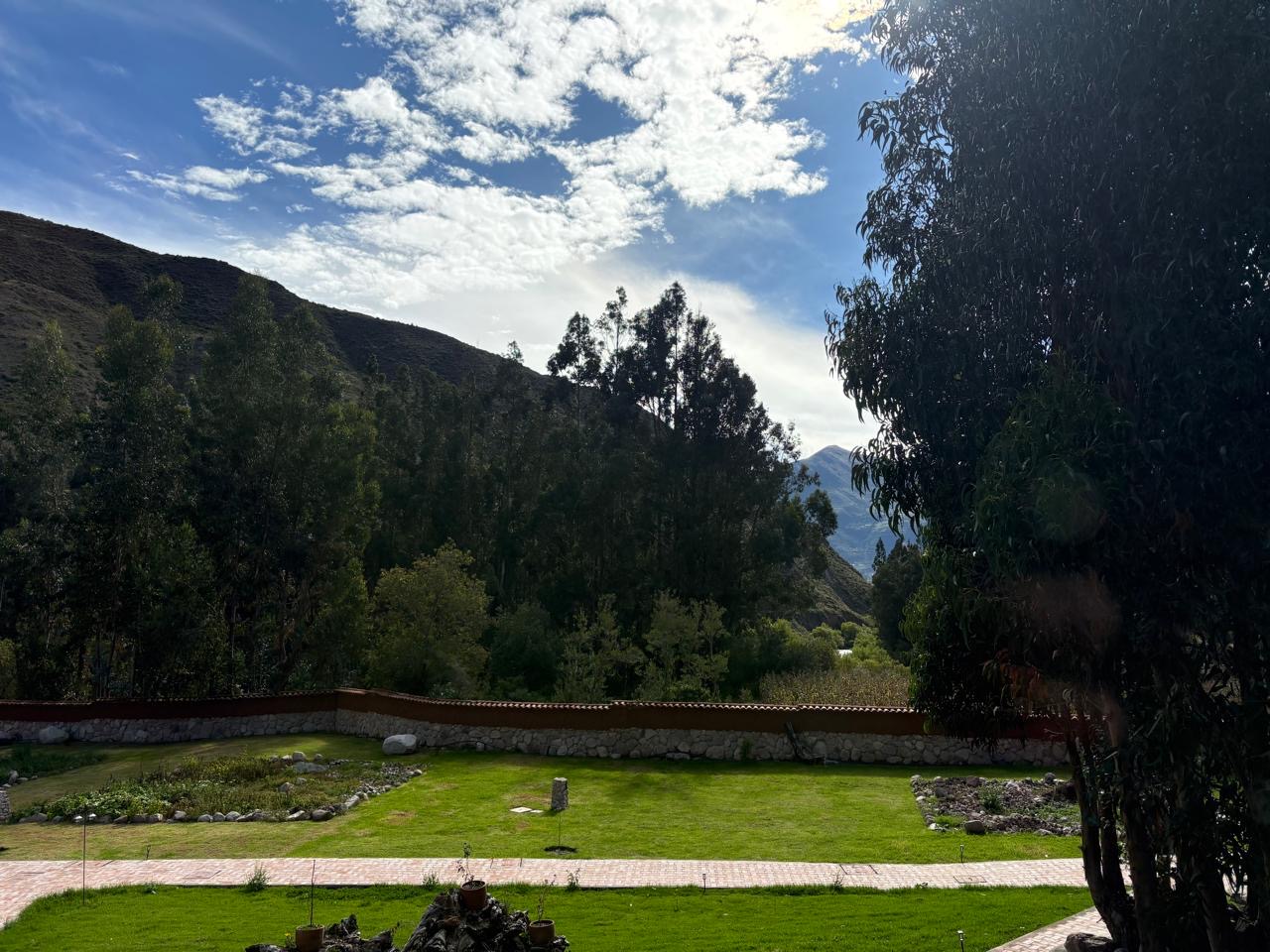 View 4