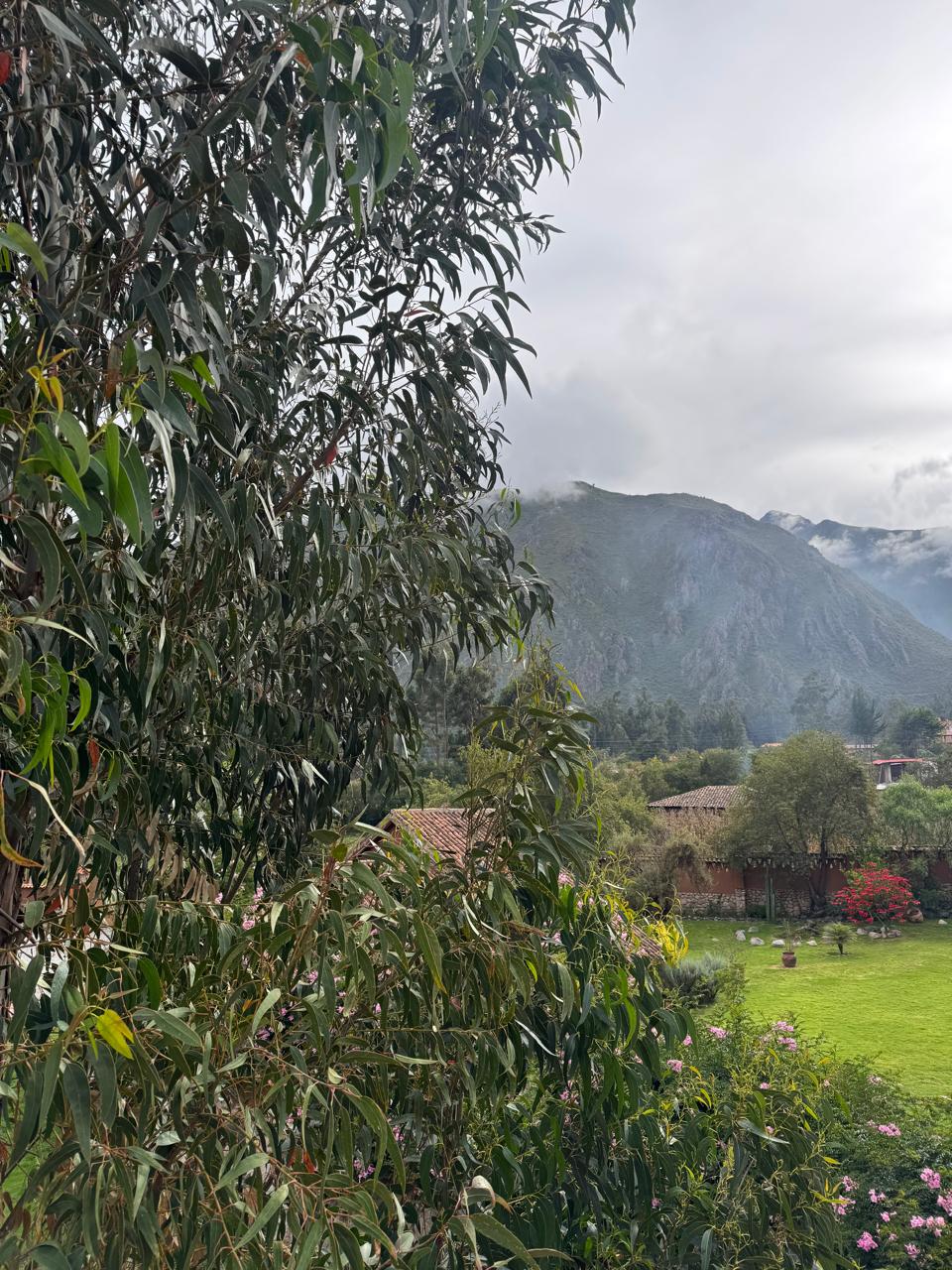 View 5